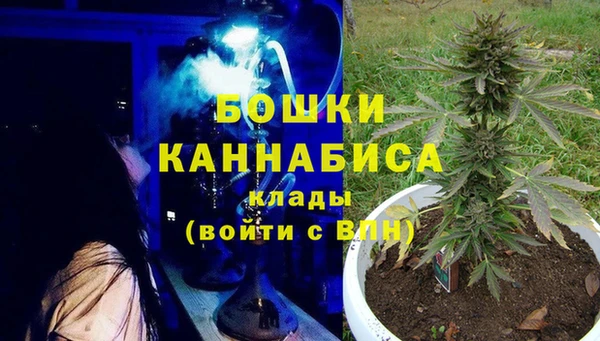 mdpv Богданович