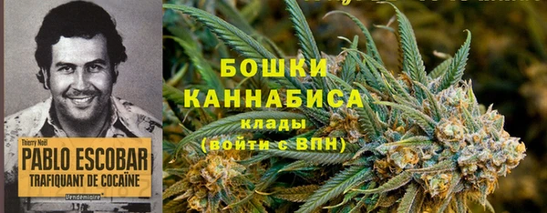 mdpv Богданович