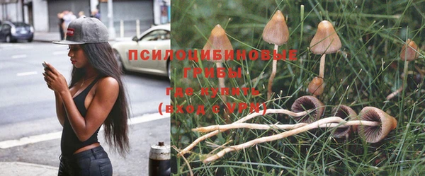 марки nbome Богородск