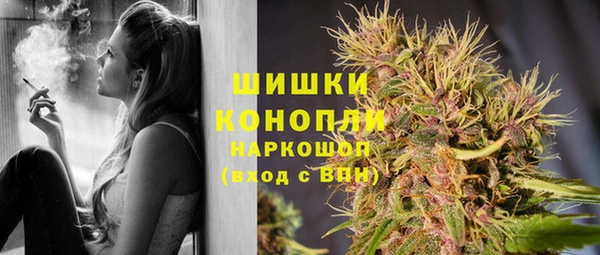 mdpv Богданович