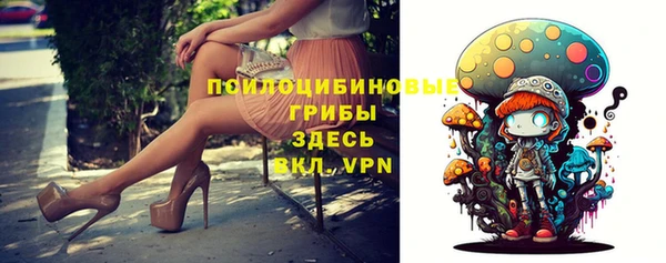 ALPHA PVP Богородицк